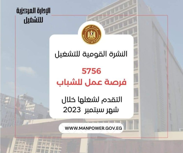 وزارة العمل:  5756 فرصة عمل في 32 شركة خاصة داخل 12 محافظة ..منها لذوي همم