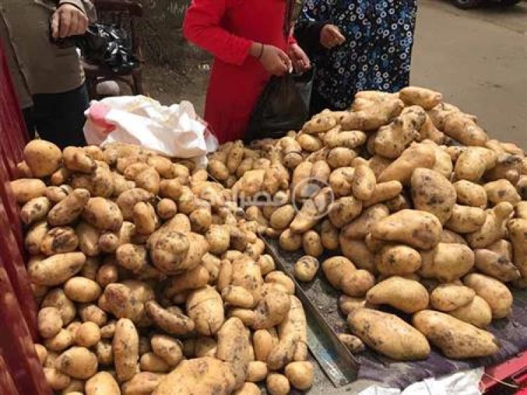 وزير الزراعة: البطاطس في طريقها إلى البرازيل